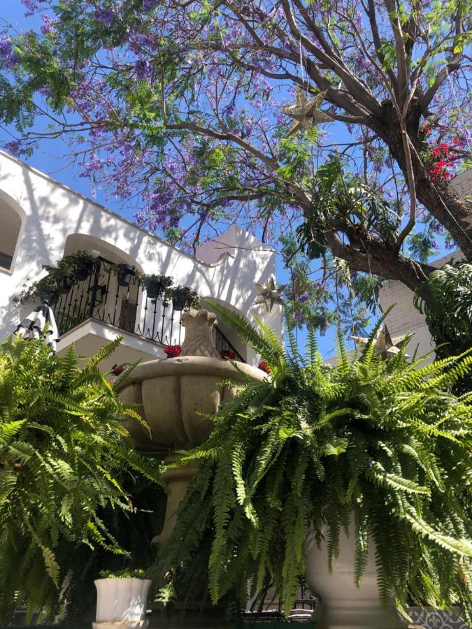 Casa Lani Luxury B&B San Miguel de Allende Eksteriør bilde