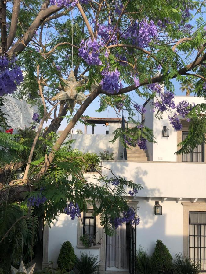 Casa Lani Luxury B&B San Miguel de Allende Eksteriør bilde