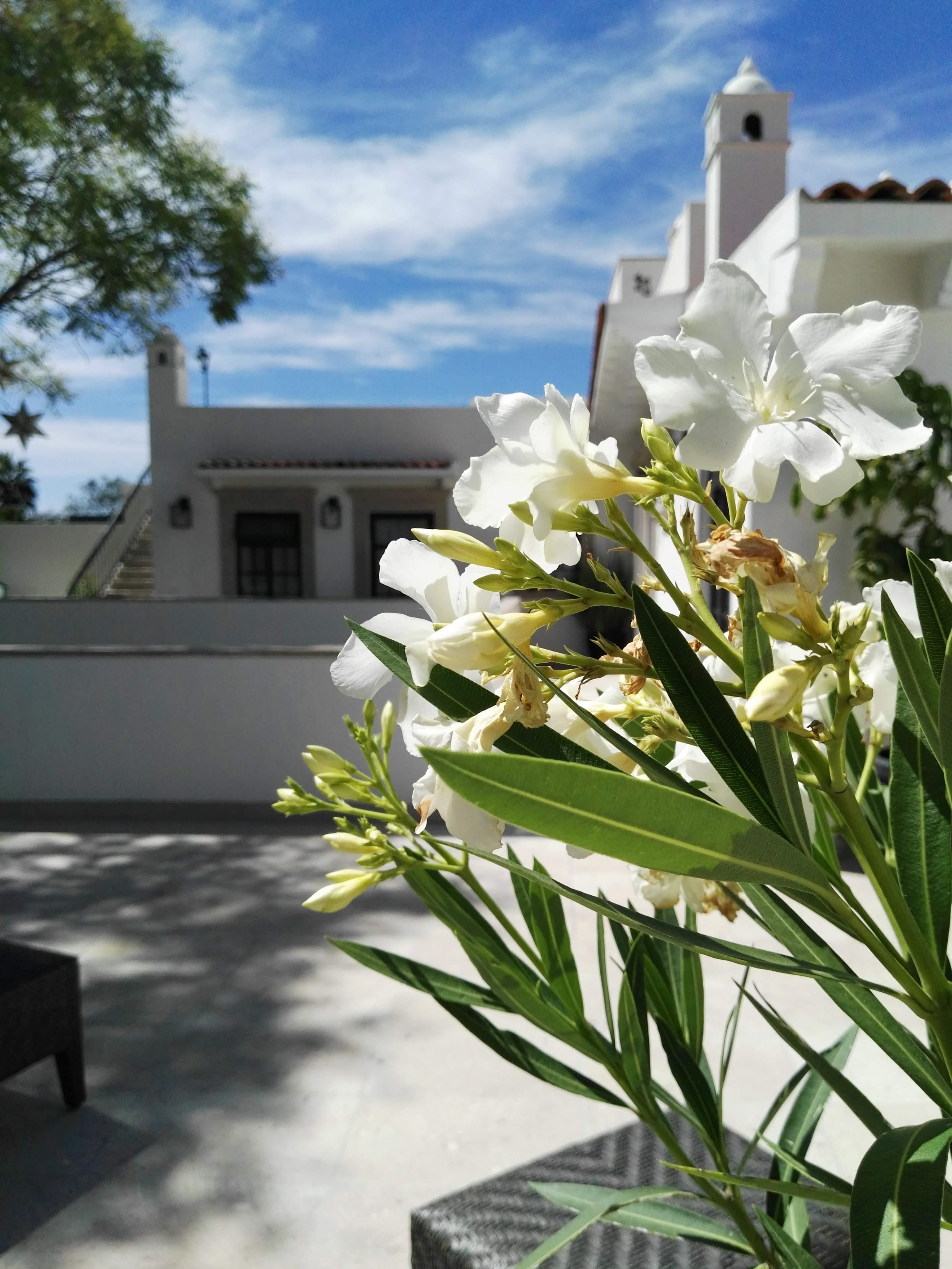 Casa Lani Luxury B&B San Miguel de Allende Eksteriør bilde