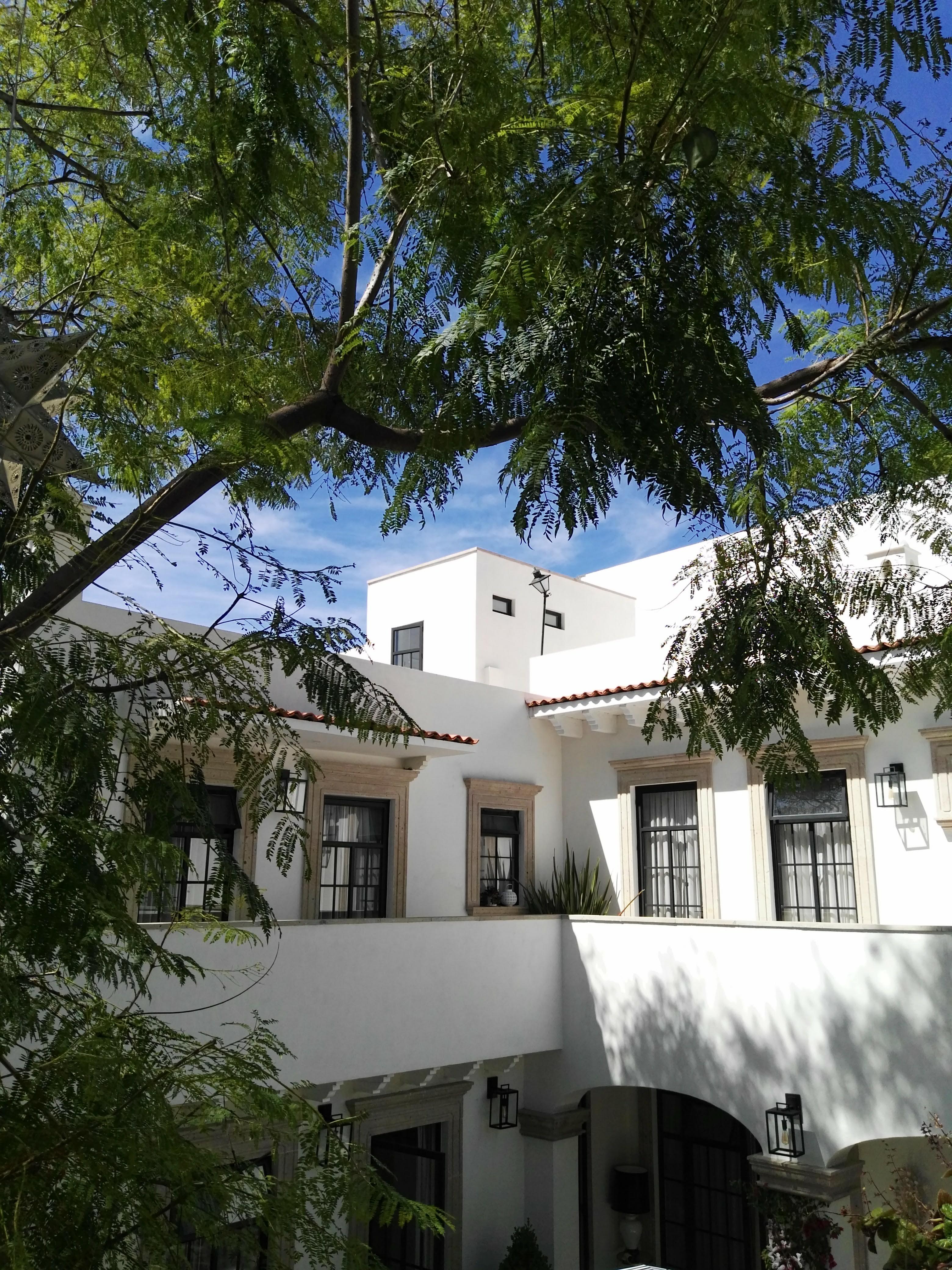 Casa Lani Luxury B&B San Miguel de Allende Eksteriør bilde