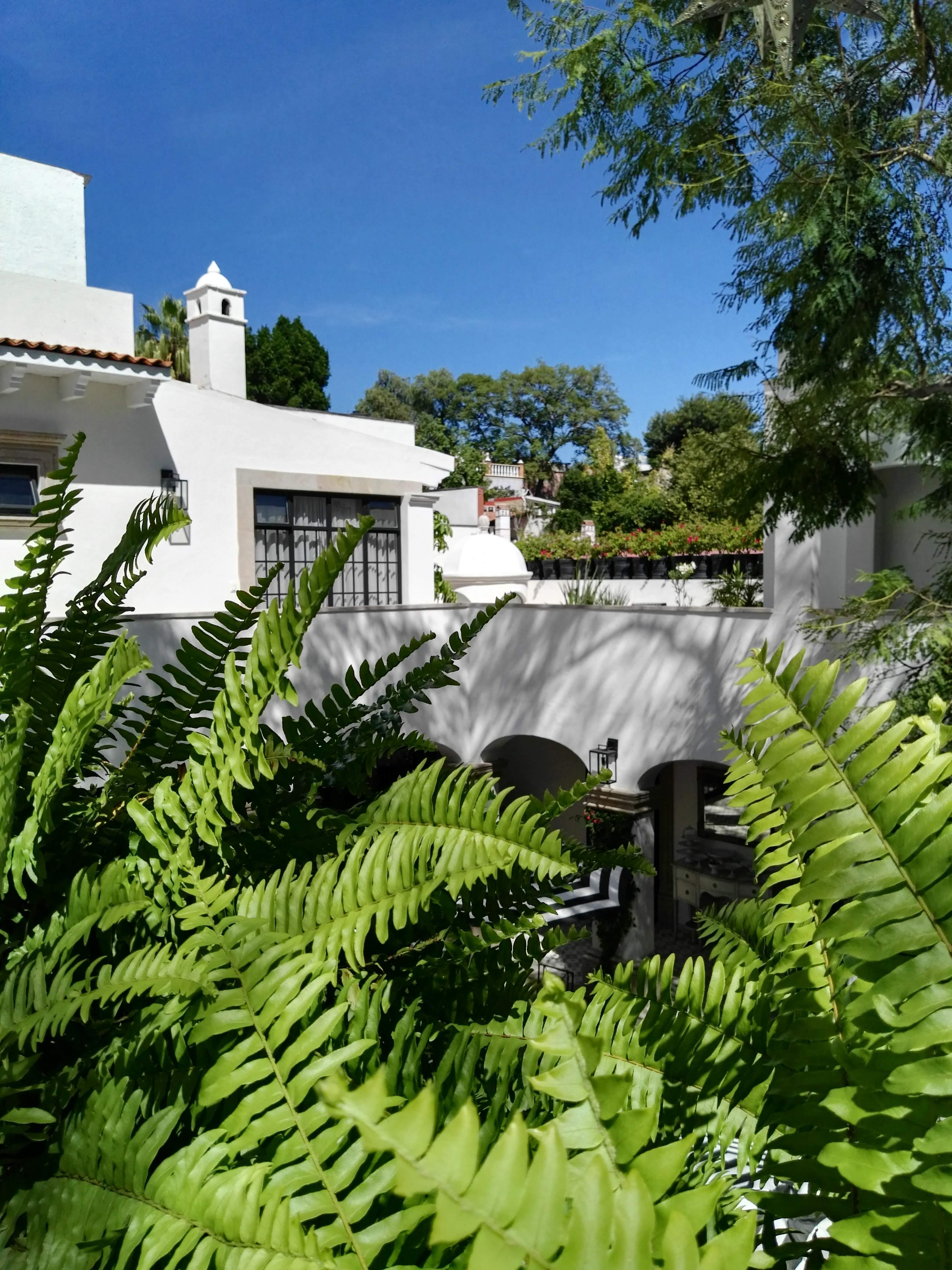 Casa Lani Luxury B&B San Miguel de Allende Eksteriør bilde