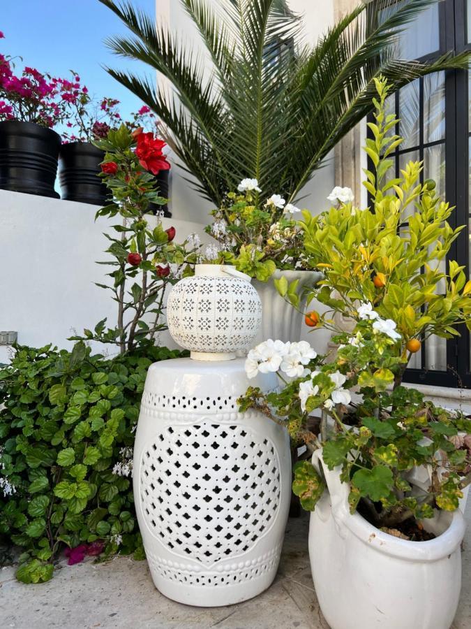 Casa Lani Luxury B&B San Miguel de Allende Eksteriør bilde